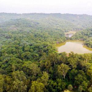 Nepli Reserve Forest || Chandigarh