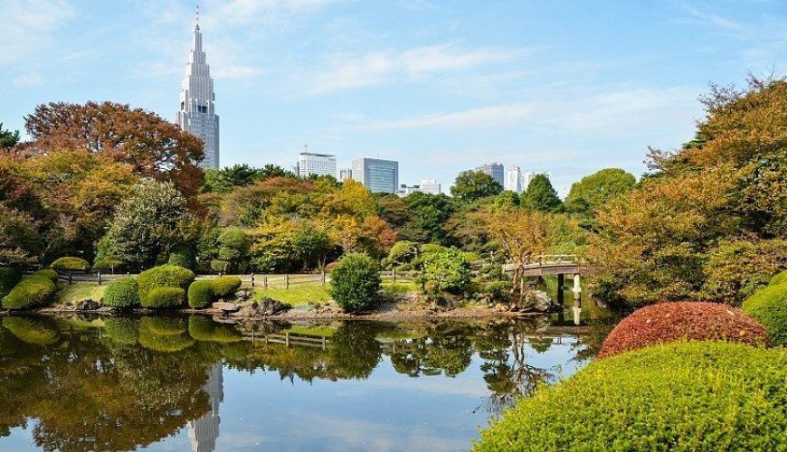 Relax in the Shinjuku Gyoen National Garden || TokyoRelax in the Shinjuku Gyoen National Garden || Tokyo