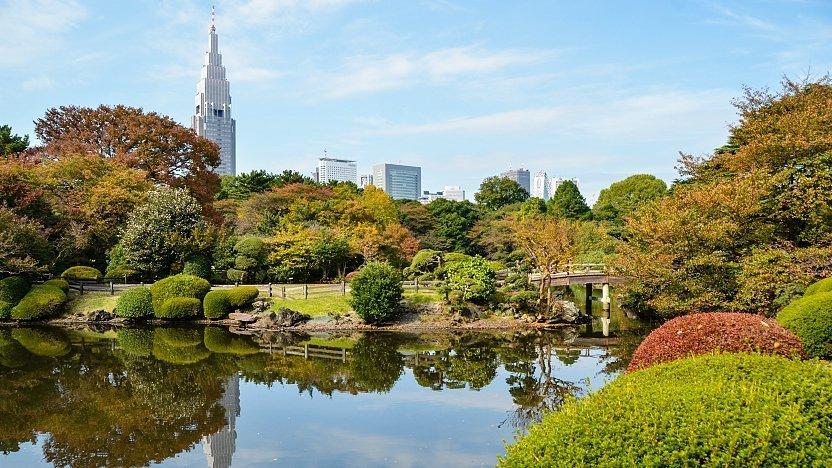 Relax in the Shinjuku Gyoen National Garden || TokyoRelax in the Shinjuku Gyoen National Garden || Tokyo