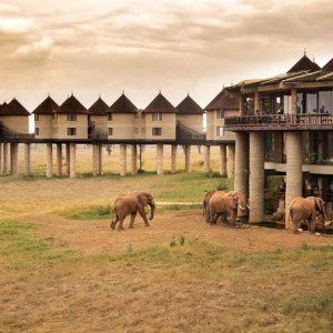 Taita Hills Wildlife Sanctuary || Kenya