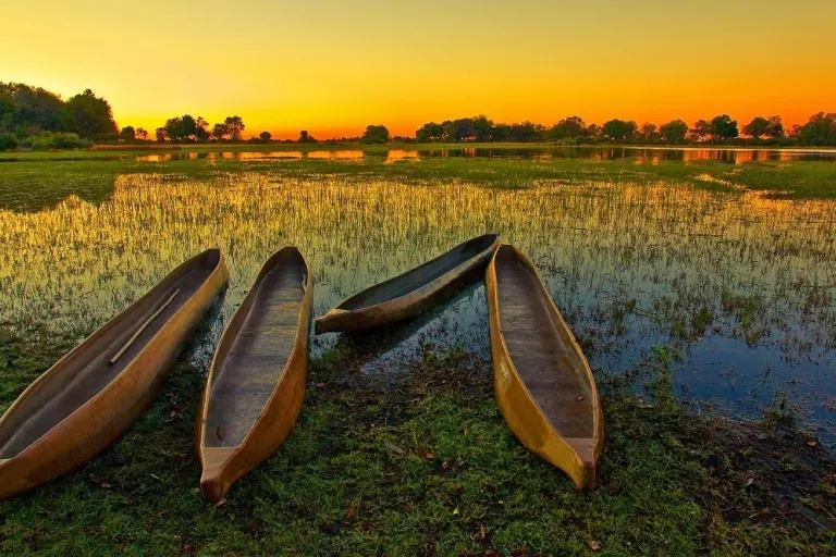 Okavango River Safari || Botswana
