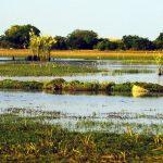 Bangweulu Wetlands
