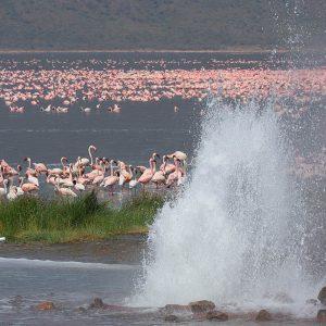Lake Bogoria National Reserve || Kenya