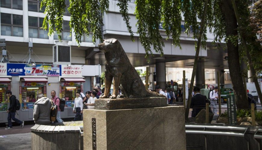 Hachiko Statue and Shibuya Crossing