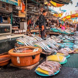 Jagalchi Fish Market, Busan || South korea