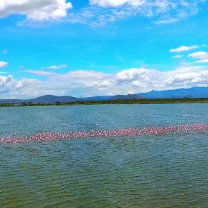 Lake Elementaita || Kenya