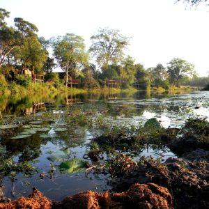 Limpopo National Park || Mozambique