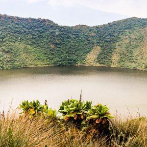 Mount Bisoke || Rwanda