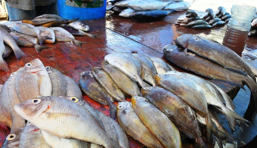 Mpulungu Fish Market