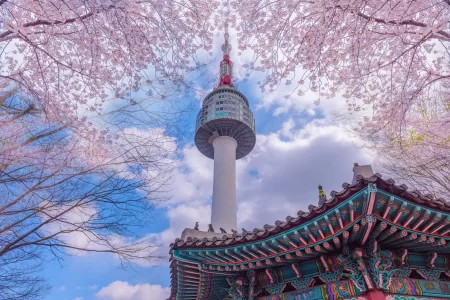 Soulful South Korea Tour Package (9 Night / 10 Days)