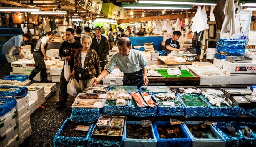 Discover the Tsukiji Fish Market || Tokyo
