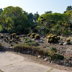 National Cactus and Succulent Botanical Garden and Research Centre || Chandigarh