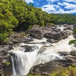 Ranomafana National Park || Madagaskar