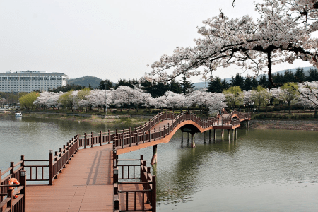 Impressions of South Korea Tour Package (9 Night / 10 Days)