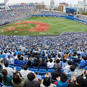 Enjoy a Baseball Game at Yokohama Stadium || Yokohama