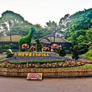 Explore the Nogeyama Zoo || Yokohama