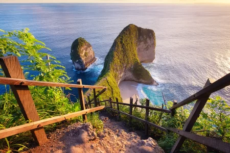 Bali Wildlife Experience (Private & All-Inclusive) Tour Package (2 Nights / 3 Days)
