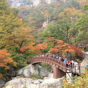 Seoraksan National Park, Sokcho || South korea
