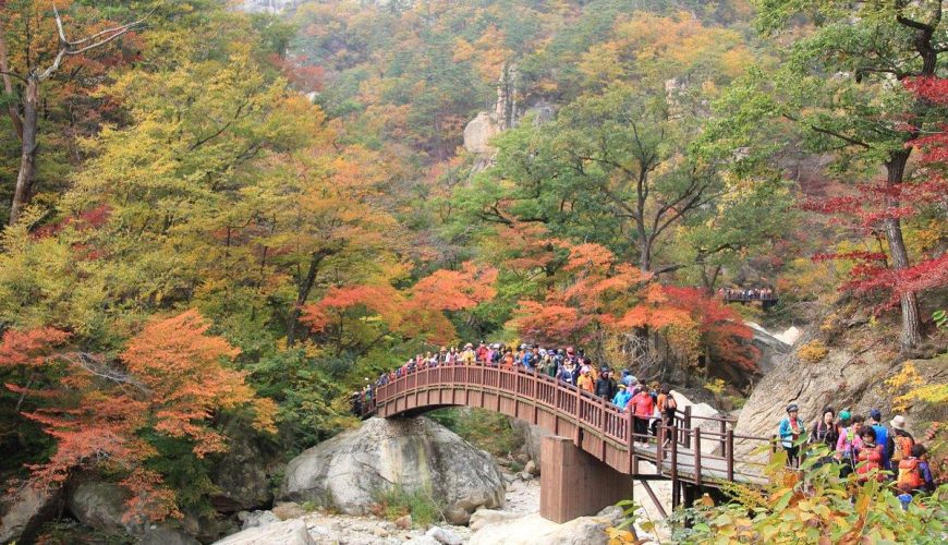 Seoraksan National Park, Sokcho || South korea