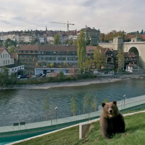 Bear Pit (Bärengraben) || Bern || Switzerland