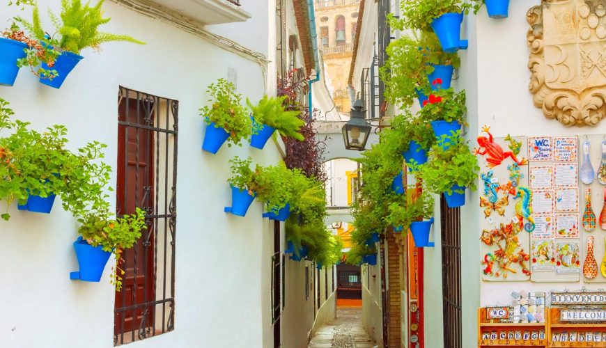 Calleja de las Flores (Flower Alley) || Cordoba || Spain