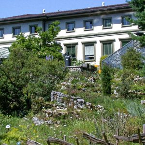 Bern Botanical Garden (Botanischer Garten der Universität Bern) || Bern || Switzerland