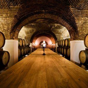 Cartuxa Winery (Adega Cartuxa)