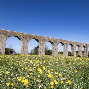 Evora Aqueduct (Aqueduto da Agua de Prata)