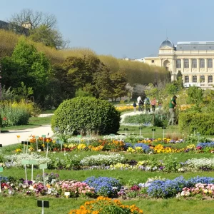 Jardin des Plantes || Paris || France