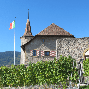 Château de Boudry || Neuchatel || Switzerland