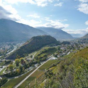Montorge Vineyards || Sion || Switzerland