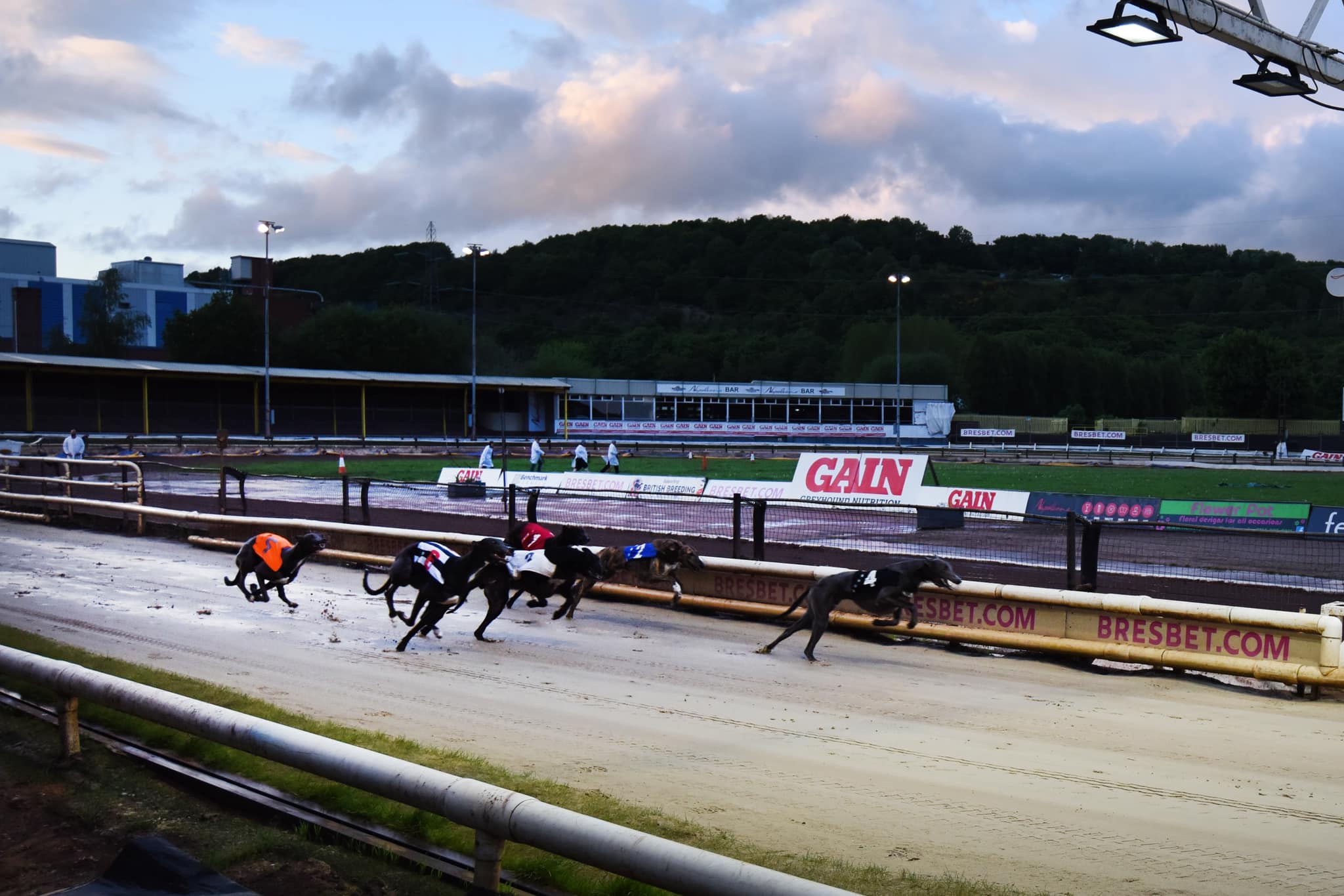 Owlerton Stadium (Greyhound Racing) || Sheffield || United Kingdom