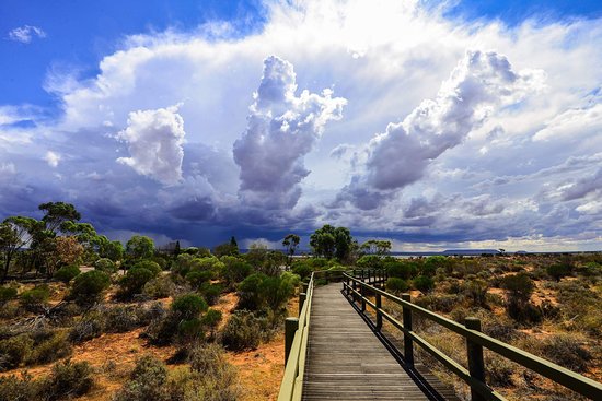 Australian Arid Lands Botanic Garden