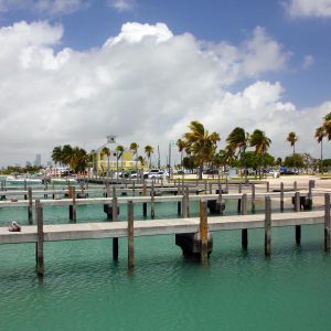 Crandon Park Marina Gateway to Key Biscayne