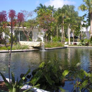 Miami Beach Botanical Garden Tranquil Urban Oasis