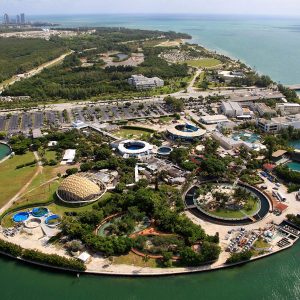 Miami Seaquarium Marine Adventures in Miami