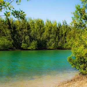 Oleta River State Park Nature Oasis in the City