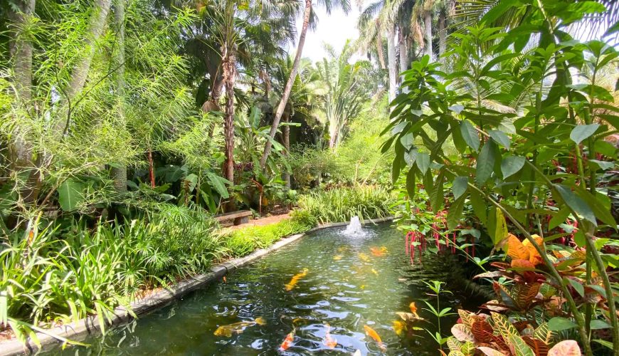 Sunken Gardens (in nearby St. Petersburg) || Tampa || Florida
