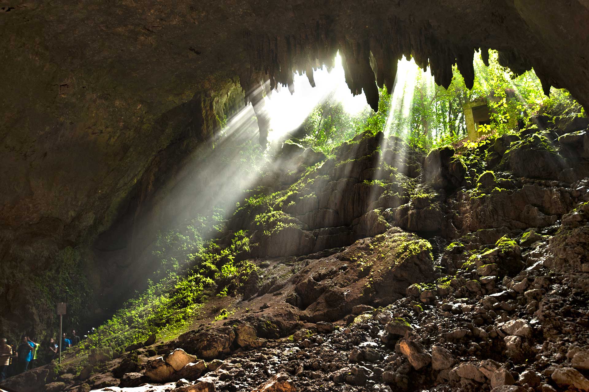 Camuy River Cave Park || Puerto Rico