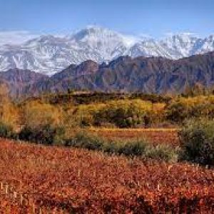 trip to the wine region of Mendoza
