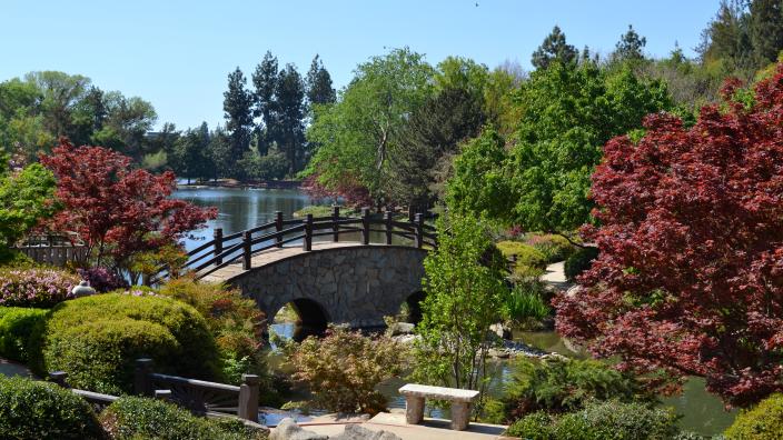 Shinzen Japanese Garden || Fresno || California
